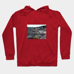 Persistence - Makapu'u Lighthouse Trail Hoodie